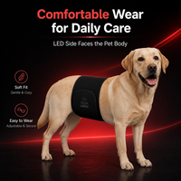 Ceinture de thérapie par lumière rouge pour chiens et chats, usage domestique, soulagement de la douleur, 660nm 850nm, physiothérapie infrarouge, alimentation par prise secteur/USB