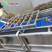 Machine automatique de lavage à bulles pour fruits et légumes avec système de convoyeur