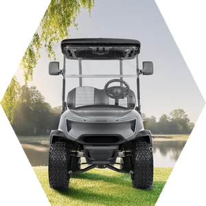2024 nuevo estilo Golf Buggy vehículo eléctrico 4 asientos 4500W carrito de Golf eléctrico t - Product Image 1