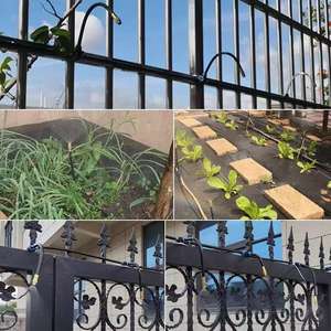 Kit d'irrigation par micro-pulvérisation 1/2 pouce en plastique, cuivre, PE, interface réglable, efficace en matière d'eau, pour fleurs et serres - Product Image 2