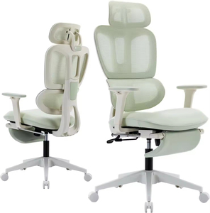 Ergonomic Lift <b>Office</b> <b>Chair</b> <b>with</b> Foot Rest Dynamic <b>Lumbar</b> <b>Support</b> 2D Headrest & Armrest - Product Image 1