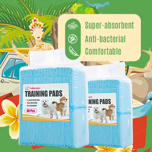 Haisenpet Factory Wholesale Highly Absorbent Convenient <b>Dog</b> Training Useful <b>Dog</b> Pee <b>Pad</b> - Product Image 1