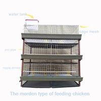 Nouveau produit Cage pour poulets de chair en treillis métallique nichoir fourni poulaillers type H chaudière élevant des cages à poulets automatiques