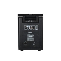 Sistema de Sonido BT Accuracy Pro Audio D410D5-GO Set de DJ Profesional Sistema PA Portátil de Columna con Batería