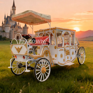 Carruaje Eléctrico Real de Lujo para Bodas, Transporte de 60V 80A con Batería, Ruedas Sólidas, Personalizable, Homologado CE, de 4 Ruedas - Product Image 4