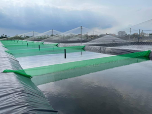 Aquacultura para tanques de peixes, grande aquacultura - Product Image 5