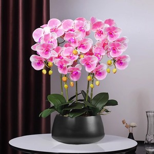 Orchidea artificiale in <span class=keywords><strong>vaso</strong></span> Orchidea finta pianta in <span class=keywords><strong>vaso</strong></span> Orchidea artificiale in <span class=keywords><strong>vaso</strong></span> all'ingrosso EG-X008 <span class=keywords><strong>fiori</strong></span> di orchidea artificiale con <span class=keywords><strong>vaso</strong></span> - Product Image 2