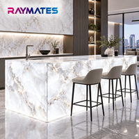 Panneau lumineux LED flexible Raymates 6000K, garantie 5 ans, lumière LED 24V, découpe possible à l'unité, certifié UL pour comptoir
