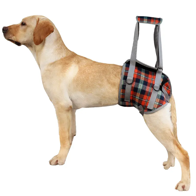 Cinturón de protección frontal para la pierna del perro, banda de luz de poliéster transpirable, auxiliar, venta al por mayor