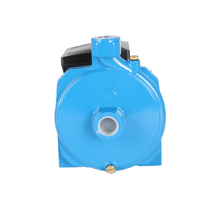 Pompe centrifuge monophasée industrielle à haut débit pour l'irrigation des jardins - Product Image 3