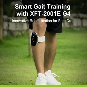 Sistema FES <span class=keywords><strong>Profesional</strong></span> XFT G4 <span class=keywords><strong>para</strong></span> Centros de <span class=keywords><strong>Fisioterapia</strong></span> que Integra Datos de Entrenamiento de la Marcha en Programas Personalizados de Rehabilitación de Accidentes Cerebrovasculares - Product Image 3