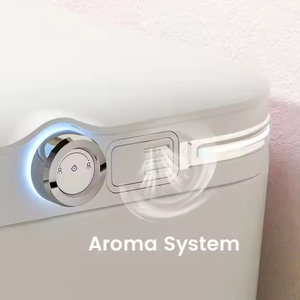 <span class=keywords><strong>โถ</strong></span><span class=keywords><strong>สุขภัณฑ์</strong></span>อัจฉริยะ WC แบบอเมริกัน S-TRAP <span class=keywords><strong>โถ</strong></span>ชักโครกอัตโนมัติปรับอุณหภูมิได้รีโมทควบคุม<span class=keywords><strong>โถ</strong></span>ส้วม - Product Image 4