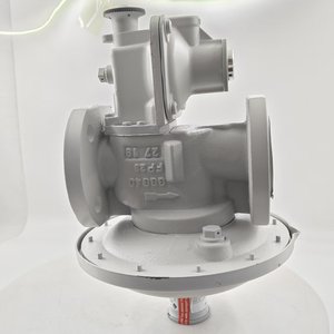 Hiệu suất cao elster Mr 25f6 SM mr25sf6 mr50 sf6 van điều chỉnh áp suất bộ phận nồi hơi sản phẩm cho nồi hơi công nghiệp - Product Image 6