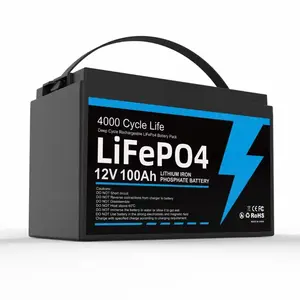 Bmsビルトインロングライフ50ah100ah 300ah 600ah48ボルトリチウムバッテリーパック48v24v12v Lifepo4リチウムバッテリー