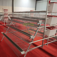 Cage à poules de type A à 3 niveaux et 4 portes, double face, avec cadre en fil d'acier galvanisé, plateau de collecte des œufs et bac complet