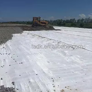 Grondversterking Polyester Geweven Geotextiel 200kn-100kn Stof Voor Hellingbescherming Wegenbouw - Product Image 2