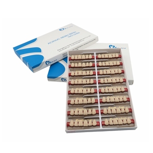 Dental Synthetic Anterior Teeth 26 Colors Front <b>Denture</b> Teeth Two Layer 6x1 - Product Image 4