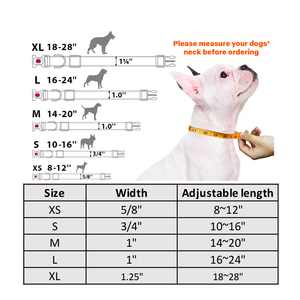 폴리에스터로 만든 애완 동물을위한 조절 가능한 플라스틱 버클 클래식 훈련 칼라와 2023 내구성 나일론 개 칼라 - Product Image 6