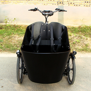 Bicyclette cargo électrique famille 36V, 3 roues, pour mère et bébé, enfants ou animaux de compagnie - Product Image 5
