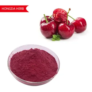 Organic Fruit Powder Acerola Cherry Extract Powder Vitamin C 25% 100% Cherry Extract Acerola Cherry Extract