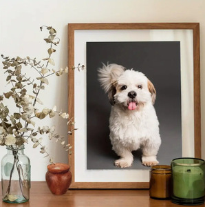 Modern gülağacı köpek külleri hatıra çevre dostu yuvarlak Urn yaratıcı zarif küçük kavanoz güzel anılar hatıra - Product Image 3