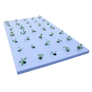 Vertical Hydroponic Grow system Hydroponics Foam Board Hydroponics growing EPS floating boards