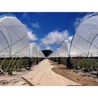 Serre tunnel multi-voûtes en plastique pour l'élevage commercial de volailles et d'escargots, kit d'agriculture protégée