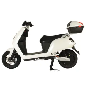 DAZZ Elyxon OEM Factory Price 12inch Adult E Scooter Swap Battery Smart Scooter Electrica Moto 2000W Electric Scooters