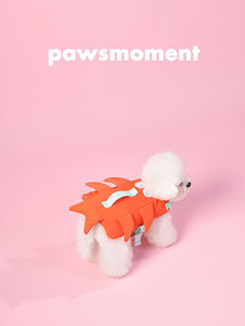 Chaleco Salvavidas para Perros PAWSMOMENT, Traje de Baño para Mascotas, Traje de Baño con Flotabilidad para Playa y Piscina con Alas Pequeñas, Divertido y Diseñado para Mascotas Pequeñas - Product Image 6