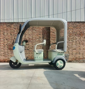 Tricycle électrique urbain à cabine ouverte, haute puissance, 25 km/h, 3 <span class=keywords><strong>places</strong></span>, pour personnes âgées - Product Image 4