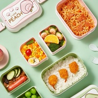 Boîte à lunch mignonne à motif de fruits avec double couvercle de conservation, couvercles de bento pour micro-ondes, en plastique de haute qualité, individuelle, pour étudiants et voyages