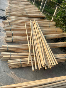 Natural Wooden <b>Garden</b> Stakes <b>for</b> Tree and Plant Support Eucalyptus Acacia Timber <b>Poles</b> - Product Image 3