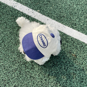 Casquette de baseball brodée à blocs de couleurs pour chats et chiens, idéale pour l'extérieur. Style coréen, soleil pour animaux de compagnie digne d'Instagram - Product Image 3