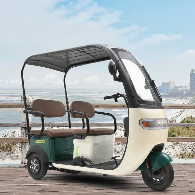 Adult Three-Wheel Electric Mini Scooter Tricycle 3 Wheel Electric Bike Body with 60v 3-Speed Motor Roof Acid Power Battery
