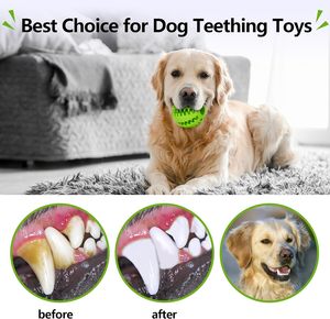 Suministros para mascotas al por mayor, juguetes de diseño para mascotas, juguetes de goma para perros, juguetes para masticar, cuidado de cachorros, bola interactiva de dentición para perros - Product Image 5