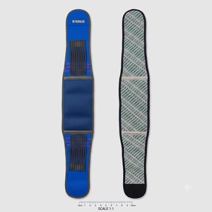 Nouvelle <span class=keywords><strong>ceinture</strong></span> de soutien lombaire et dorsal magnétique réglable en tourmaline bleue pour le <span class=keywords><strong>sport</strong></span> - Product Image 4