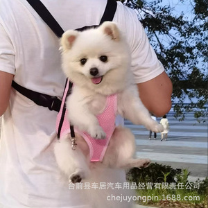 <span class=keywords><strong>Zaino</strong></span> trasportino per animali domestici portatile per cani di piccola taglia gatti maglia traspirante espandibile spazio aereo approvato borsa a tracolla - Product Image 3