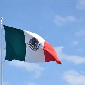 Cờ Mexico Tùy Chỉnh Cờ Quảng Cáo Logo Lưới Polyester In Kỹ Thuật Số 3x5Ft Cờ Quảng Cáo Sự Kiện 90X150 Cm