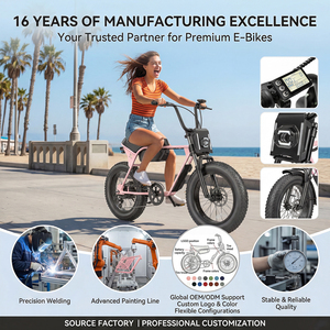 Vélo électrique rétro US Stock, pneus larges, 750W, OEM/ODM, <span class=keywords><strong>logo</strong></span> personnalisé, pour montagne, sentiers, neige, sable, <span class=keywords><strong>jungle</strong></span>, tout-terrain - Product Image 6
