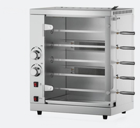 Rôtissoire à gaz commerciale en acier inoxydable nouvel équipement de cuisson pour restaurants magasins d'alimentation centres commerciaux pour magasins de poulet rôti