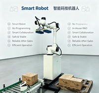 Robot de Paletización Colaborativo de Fácil Programación y Alta Eficiencia para Apilado de Cajas en Líneas de Producción de Alimentos y Piensos