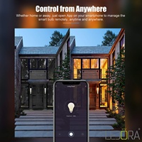 Ampoule intelligente Wifi Led, Alexa, contrôlée par l'application Tuya Alexa et Google