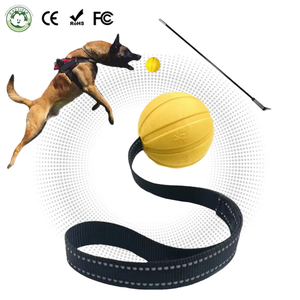 CE sertifikalı çevre dostu köpek topları ayarlanabilir halat oyuncak yüzen EVA köpük köpek oyuncak köpekler için dayanıklı interaktif köpek oyuncak - Product Image 1