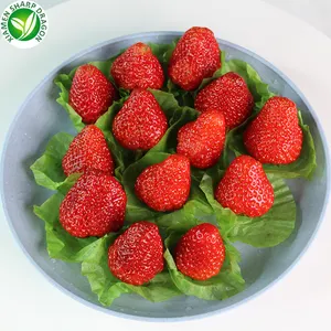2023 IQF 중국 수출 도매 가격 냉동 과일 딸기 학년 A 판매