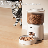 Haute qualité 3L grande capacité Pet Smart Feeder minuterie alimentation automatique distributeur de nourriture Wifi voix intelligente chat et chien mangeoire