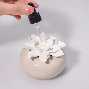 석고 꽃 아로마 테라피 스톤 세트 에센셜 오일 디퓨저 세라믹 플라워 파이어 프리 아로마 테라피 공기 청정기