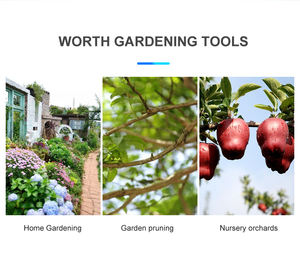 Offerta Speciale 2024 Cesoie da Potatura Elettriche 2 Batterie Asta di Prolunga Opzionale Utensili Elettrici per Vigne Forbici Elettriche Senza Fili - Product Image 3