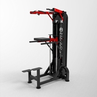 Machine commerciale d'assistance pour tractions et dips, sélectionnée par les professionnels, pour l'entraînement progressif de la force supérieure du corps