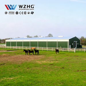 Manège d'entraînement pour chevaux à structure en acier avec hauteur et aménagement flexibles pour les installations d'équitation professionnelles - Product Image 1