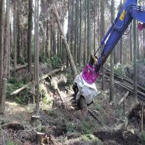Cabeza de Corte de Madera para Tala de Árboles, Máquina Forestal con Cabezal de Corte de Segmentos Libre para la Extracción de Madera - Product Image 5